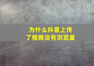 为什么抖音上传了视频没有浏览量