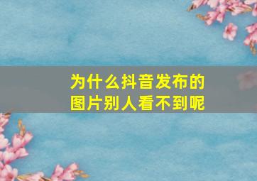 为什么抖音发布的图片别人看不到呢