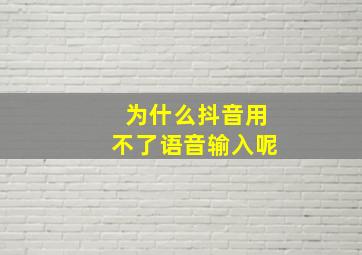 为什么抖音用不了语音输入呢