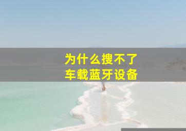 为什么搜不了车载蓝牙设备