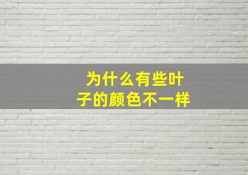 为什么有些叶子的颜色不一样