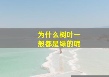 为什么树叶一般都是绿的呢