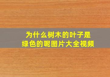 为什么树木的叶子是绿色的呢图片大全视频