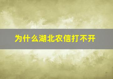 为什么湖北农信打不开