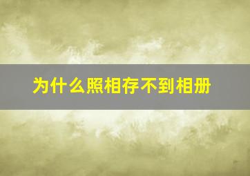 为什么照相存不到相册