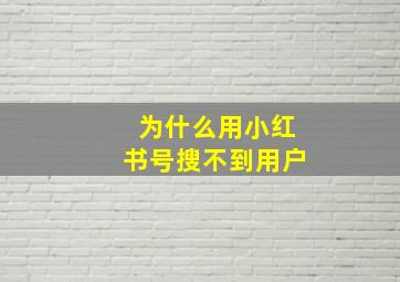 为什么用小红书号搜不到用户