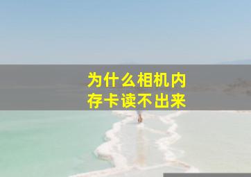 为什么相机内存卡读不出来