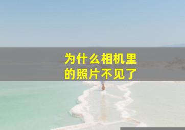 为什么相机里的照片不见了