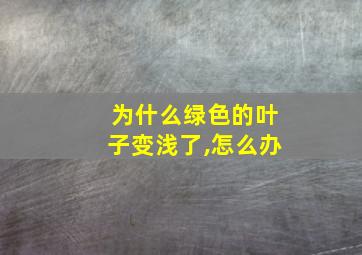 为什么绿色的叶子变浅了,怎么办