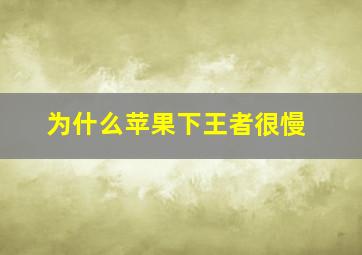 为什么苹果下王者很慢