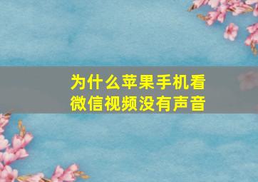 为什么苹果手机看微信视频没有声音