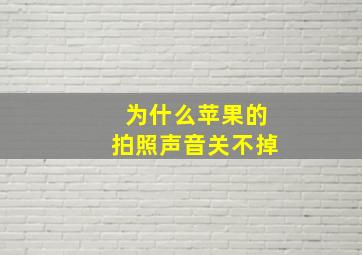 为什么苹果的拍照声音关不掉