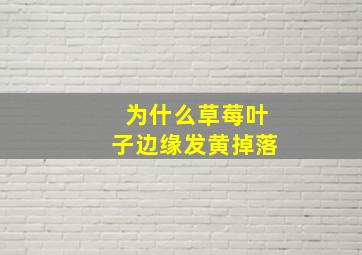 为什么草莓叶子边缘发黄掉落