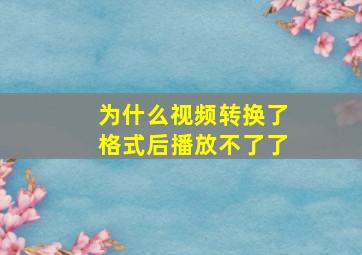 为什么视频转换了格式后播放不了了