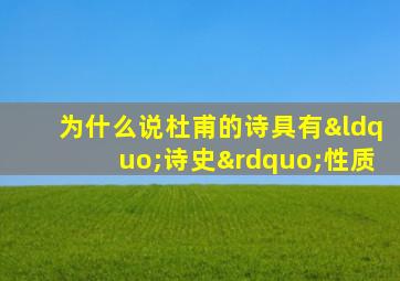 为什么说杜甫的诗具有“诗史”性质