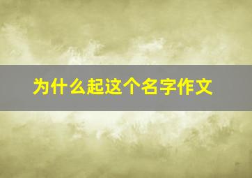 为什么起这个名字作文