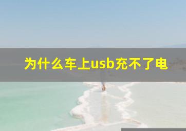 为什么车上usb充不了电