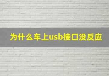 为什么车上usb接口没反应