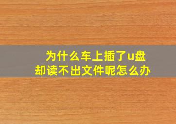 为什么车上插了u盘却读不出文件呢怎么办