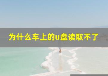 为什么车上的u盘读取不了