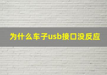 为什么车子usb接口没反应