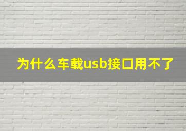 为什么车载usb接口用不了