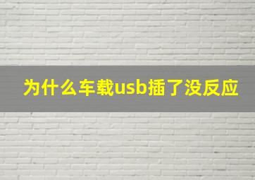 为什么车载usb插了没反应