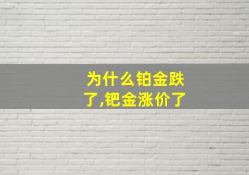 为什么铂金跌了,钯金涨价了