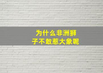 为什么非洲狮子不敢惹大象呢