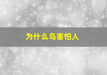 为什么鸟害怕人