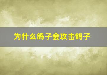 为什么鸽子会攻击鸽子