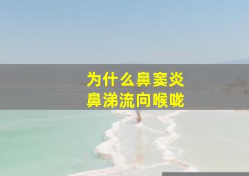 为什么鼻窦炎鼻涕流向喉咙