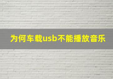 为何车载usb不能播放音乐