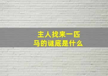 主人找来一匹马的谜底是什么