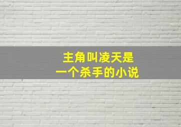 主角叫凌天是一个杀手的小说