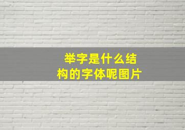 举字是什么结构的字体呢图片