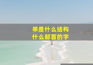 举是什么结构什么部首的字