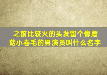 之前比较火的头发留个像蘑菇小卷毛的男演员叫什么名字