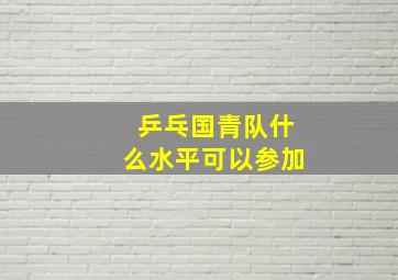 乒乓国青队什么水平可以参加