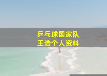 乒乓球国家队王浩个人资料