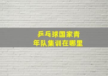 乒乓球国家青年队集训在哪里