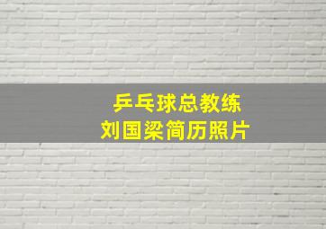 乒乓球总教练刘国梁简历照片