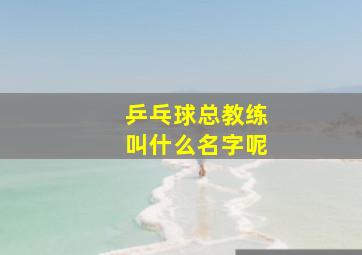 乒乓球总教练叫什么名字呢