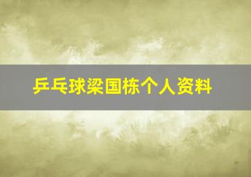 乒乓球梁国栋个人资料