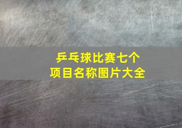 乒乓球比赛七个项目名称图片大全