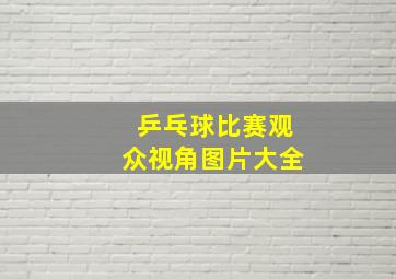 乒乓球比赛观众视角图片大全