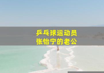 乒乓球运动员张怡宁的老公