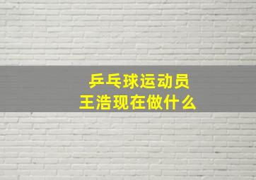 乒乓球运动员王浩现在做什么