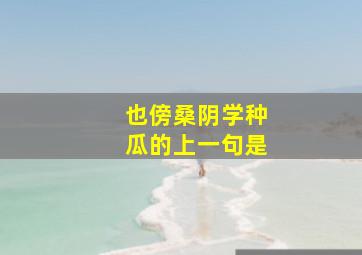 也傍桑阴学种瓜的上一句是