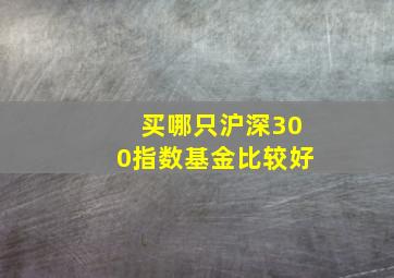 买哪只沪深300指数基金比较好